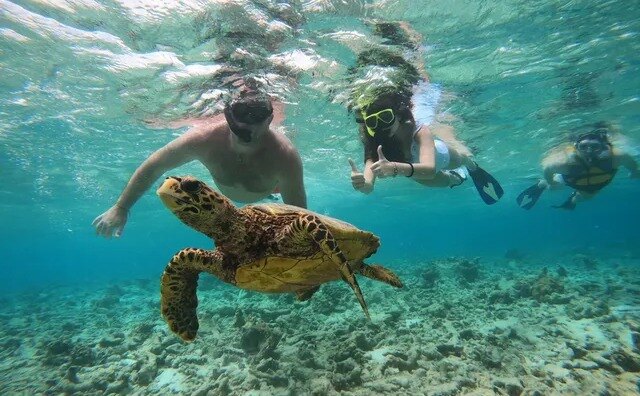 Snorkelling in the Maldives