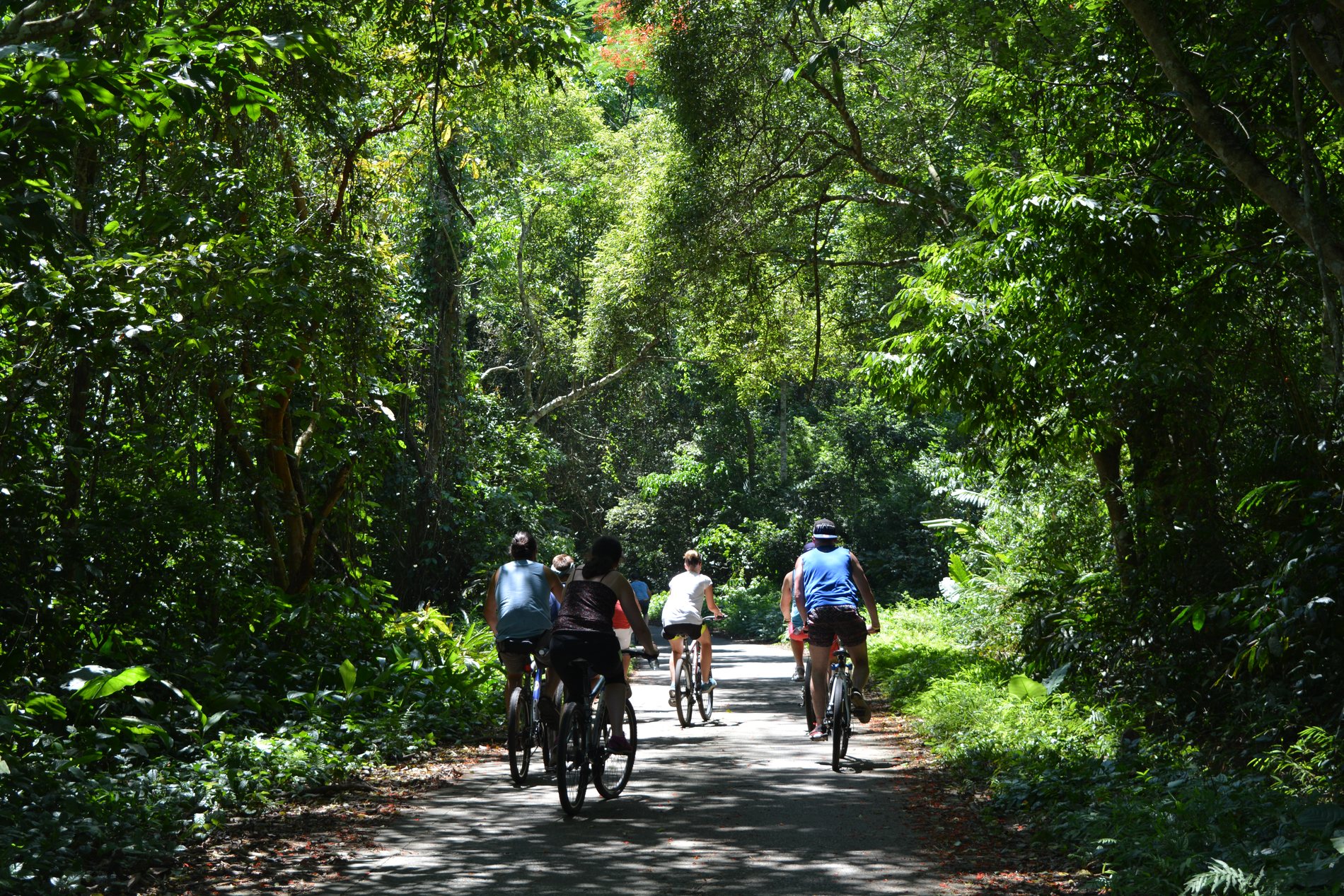 Cycling through Cuc Phuong National Park